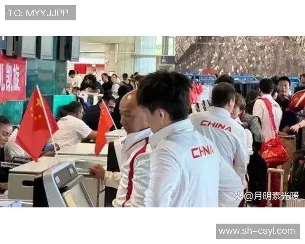 北京乒乓球队技术争议引发热议球迷与专家观点碰撞激烈